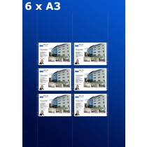 Fensterdisplays 6 x A3 - D