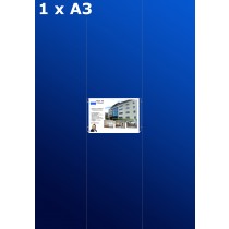 Fensterdisplays 1 x A3