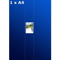 Fensterdisplays 1 x A4