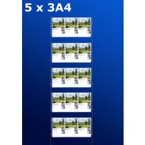 Fensterdisplays 5 x 3A4