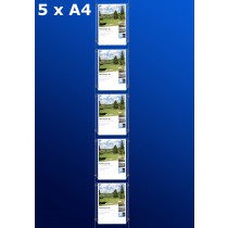 Fensterdisplays 5 x A4