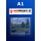 Fensterdisplay Logoschild A1